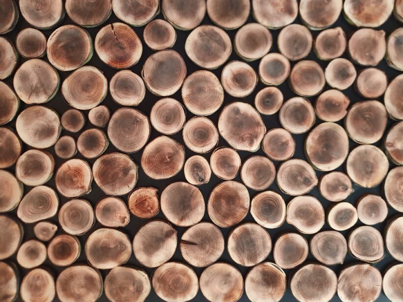 Panele Akustyczne z Drewnem Panele Akustyczne z Drewnem